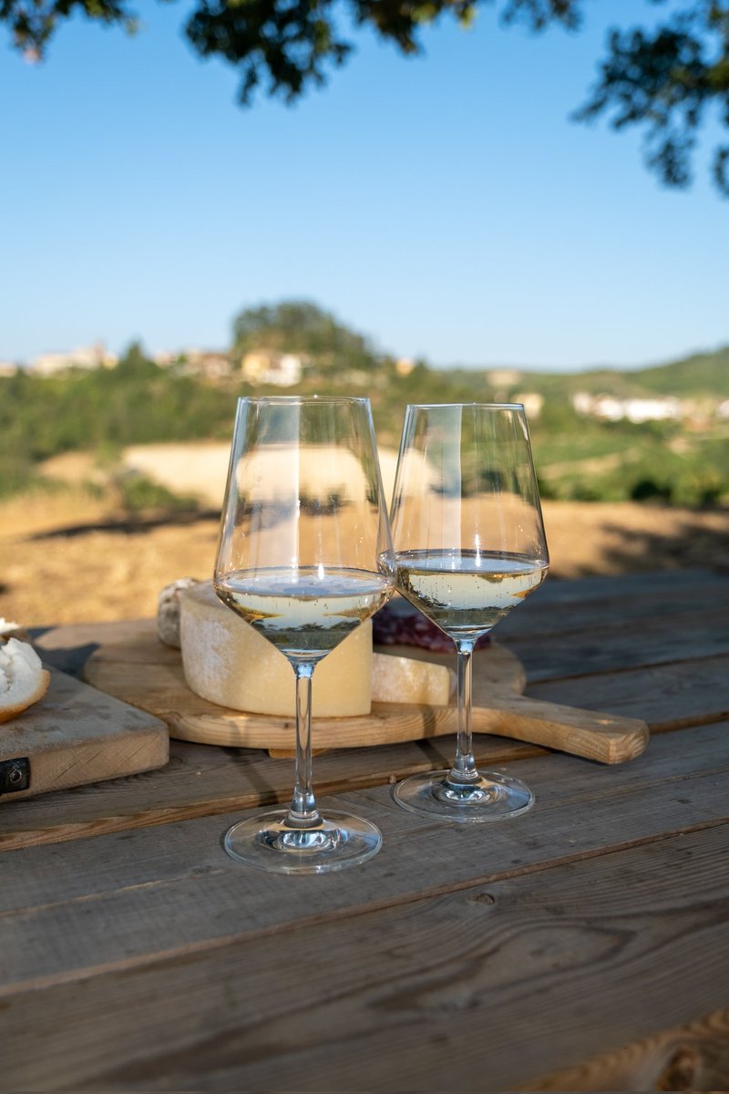 PezzaFabio's tweet image. 