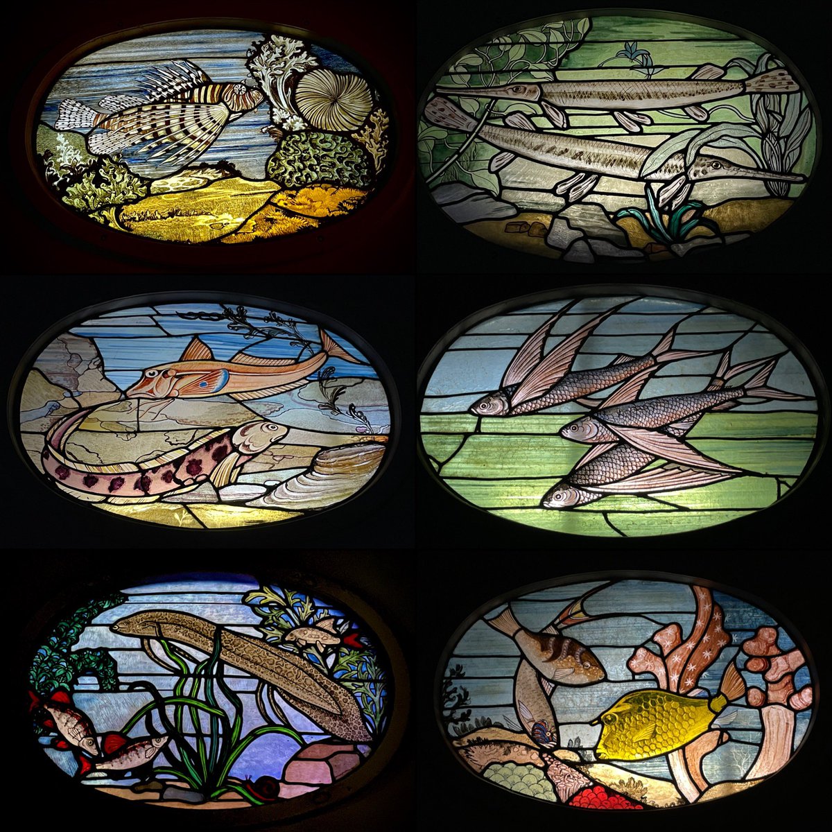 Cool stained glass of some fishy weirdos at the Berlin Aquarium