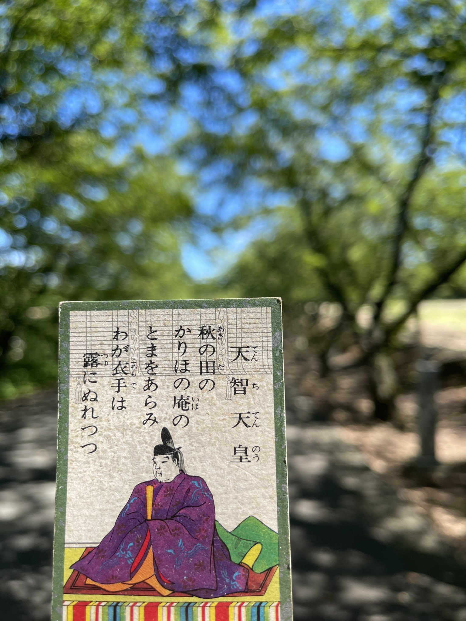 ちはやふるweek In あわら Chihayaweek Twitter
