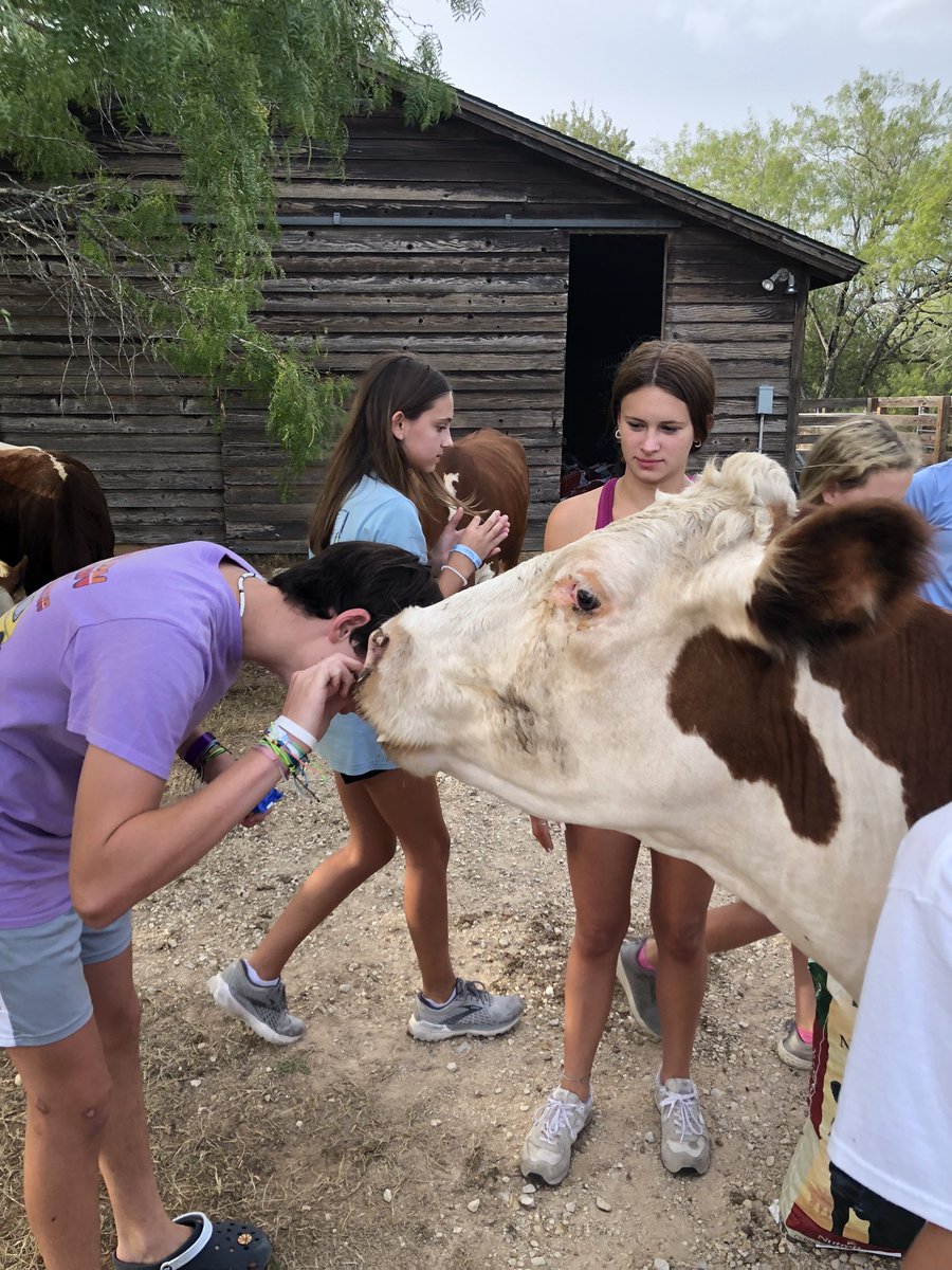 stmarkhouston's tweet photo. Feeding the cows at the ranch tonight… https://t.co/G8HHfBGVcb