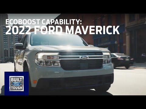 Novlan Bros tweet media