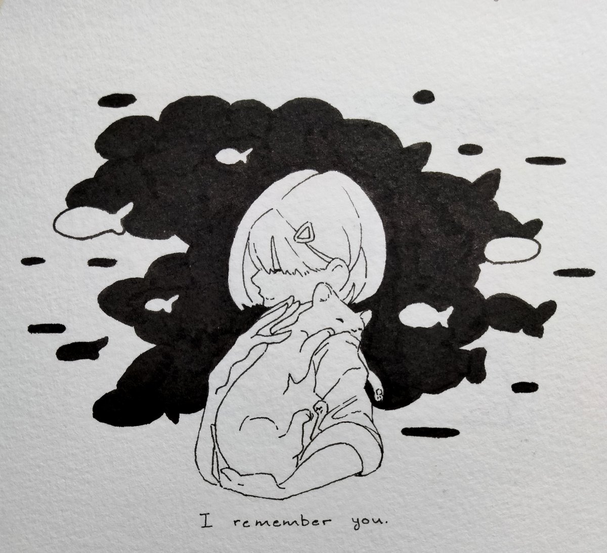 Cats! They don't need context.