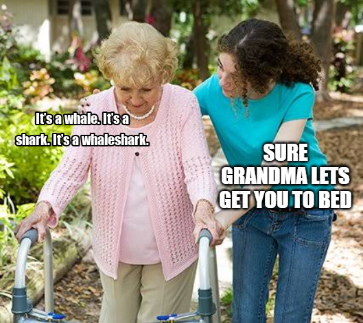 Ledger Grandma tweet media