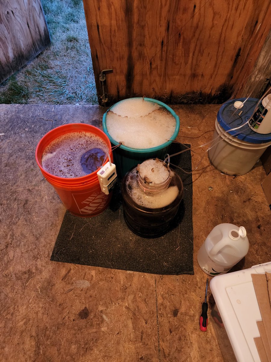 gavinSpadL's tweet image. This is my culture #nfts #organics #composttea