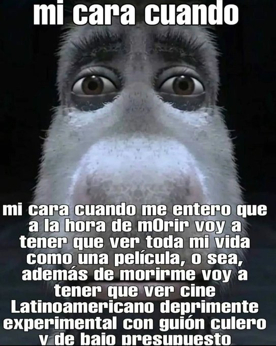 calva.21 tweet media