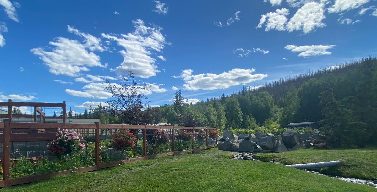 ChenaHotSprings's tweet photo. Currently sunny and 65! ☀️

#Summer2022 #hotsprings #Alaska https://t.co/GRcM8nb2qa