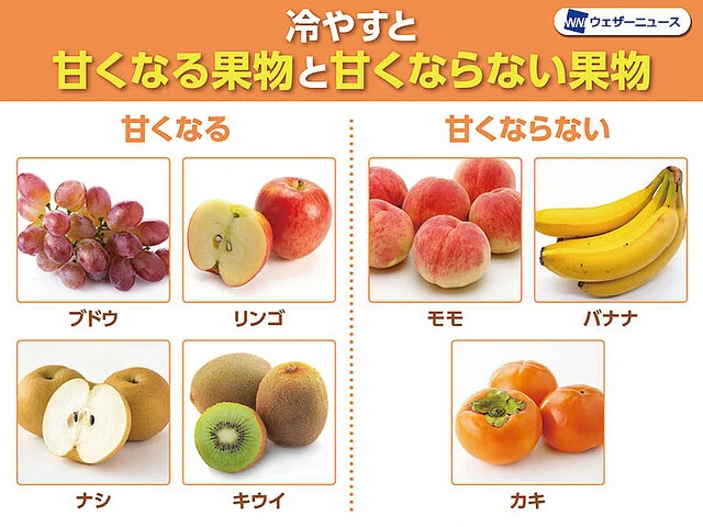 冷やすと甘くなる果物と甘くならない果物がある！？知っておきたい豆知識。