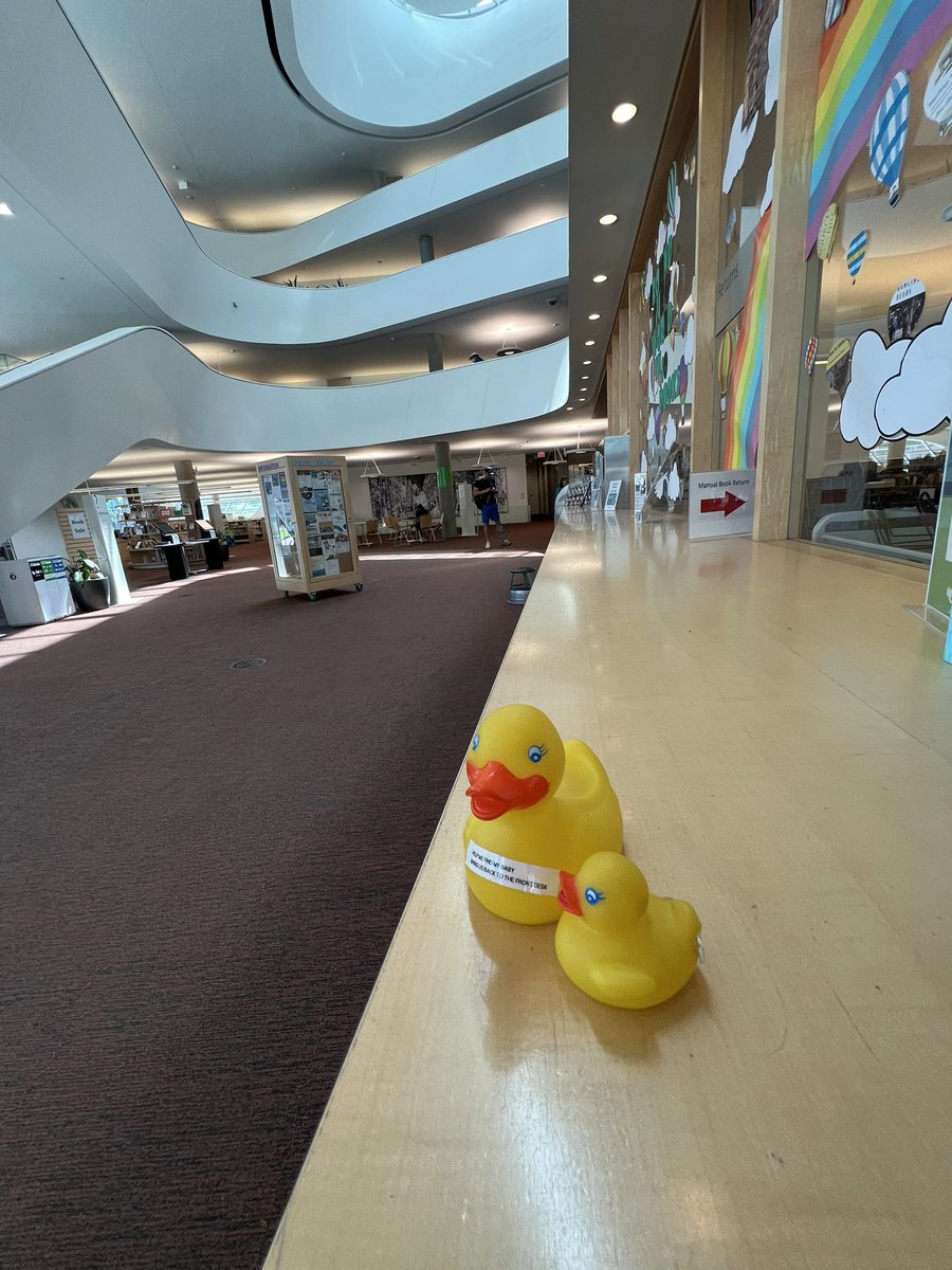 cndbassetmom's tweet photo. The #libraryducks visited the Surrey Central branch of the Surrey Public Library. They enjoyed the architecture of the large building! https://t.co/KFLBTm0Ekv