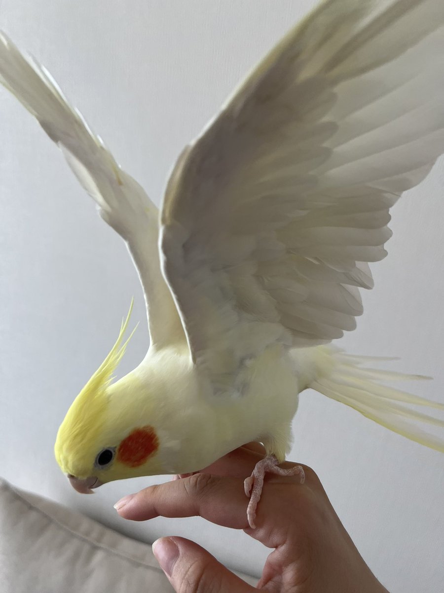 ヤダーかわいすぎるぅ😮‍💨