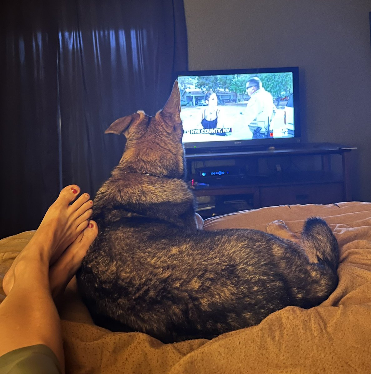 Sam_G_WI's tweet photo. My husband thanks you #reelz #OPLiveNation #oplive for making his Friday and Saturdays a whole lot quieter! We leave him alone now! 😂🤣 https://t.co/hbvEOzV8sG