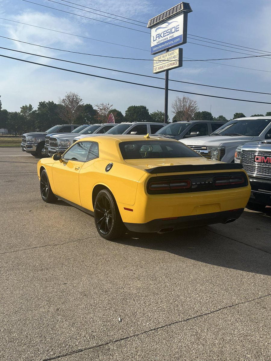 Love My Scat Pack🐝