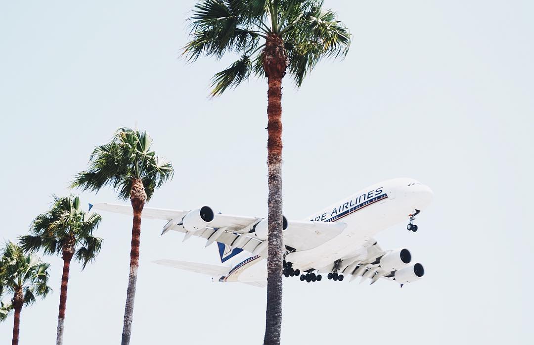 jandnsocial's tweet image. #jetsetready let's go! ✈️🌴🥥