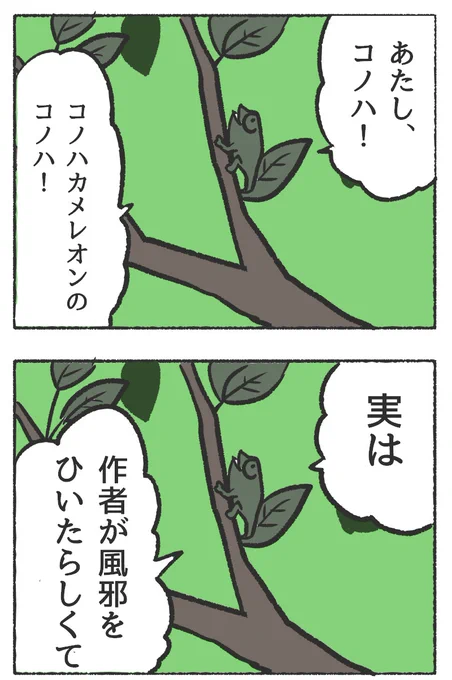 人間に擬態したカメレオンの漫画【23】おわび#それでも葉っぱコノハちゃん #それでも人間レオンくん 