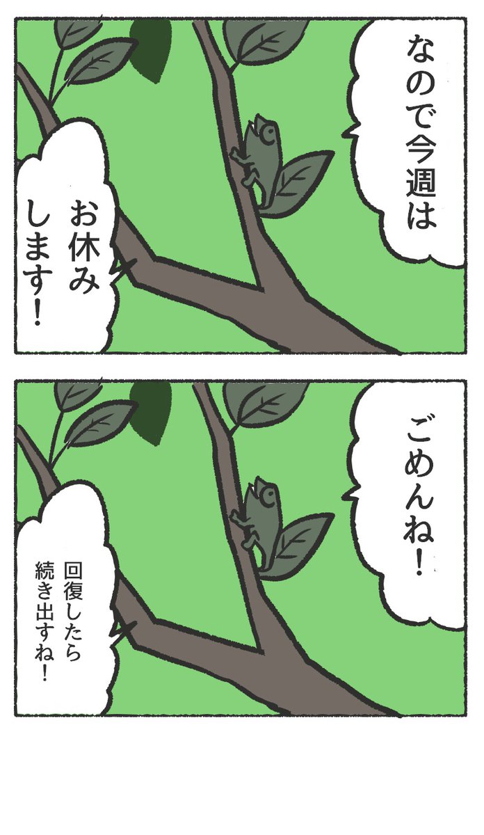 人間に擬態したカメレオンの漫画【23】おわび
#それでも葉っぱコノハちゃん #それでも人間レオンくん