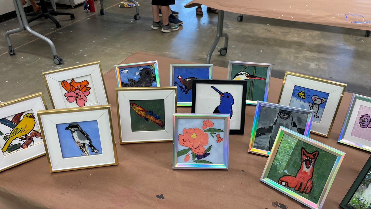 OWS Summer Program tweet media