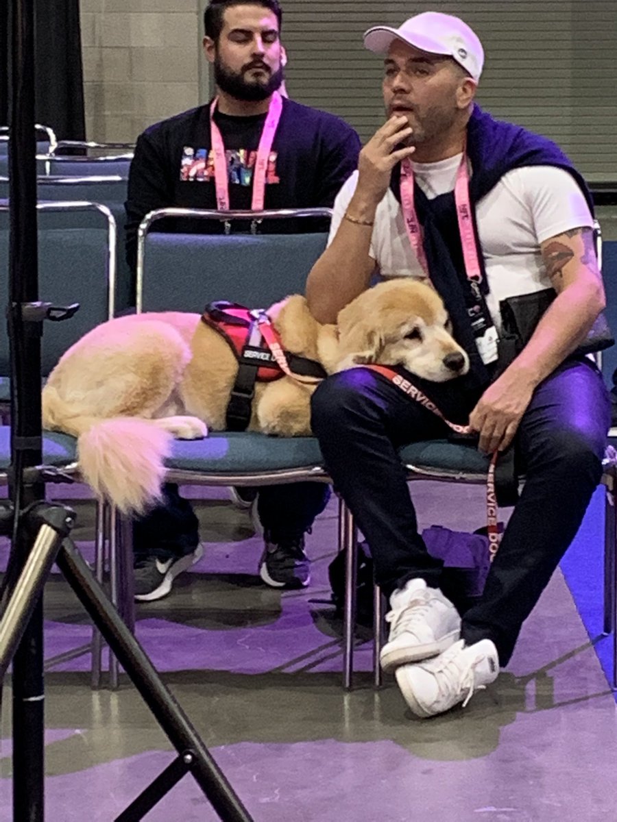 Spotted a Golden Good Boi at the function and it took everything in me to not ask this man if I could hug his pup. #GoldenRetrieverObsessed