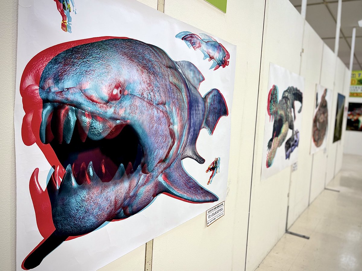 Interpark_yamag's tweet photo. 8月21日までカッコ飛び出す3Ｄ恐竜展」を2階催事場で開催♪
3Ｄメガネをかけて楽しんだり、リアルなフィギュアの前でパシャったり、本物の化石に触れたり等、ご家族で楽しめます(^^)
#インターパーク店長
#恐竜展
#恐竜
#インターパーク
#夏休み https://t.co/JdmmysfJUb