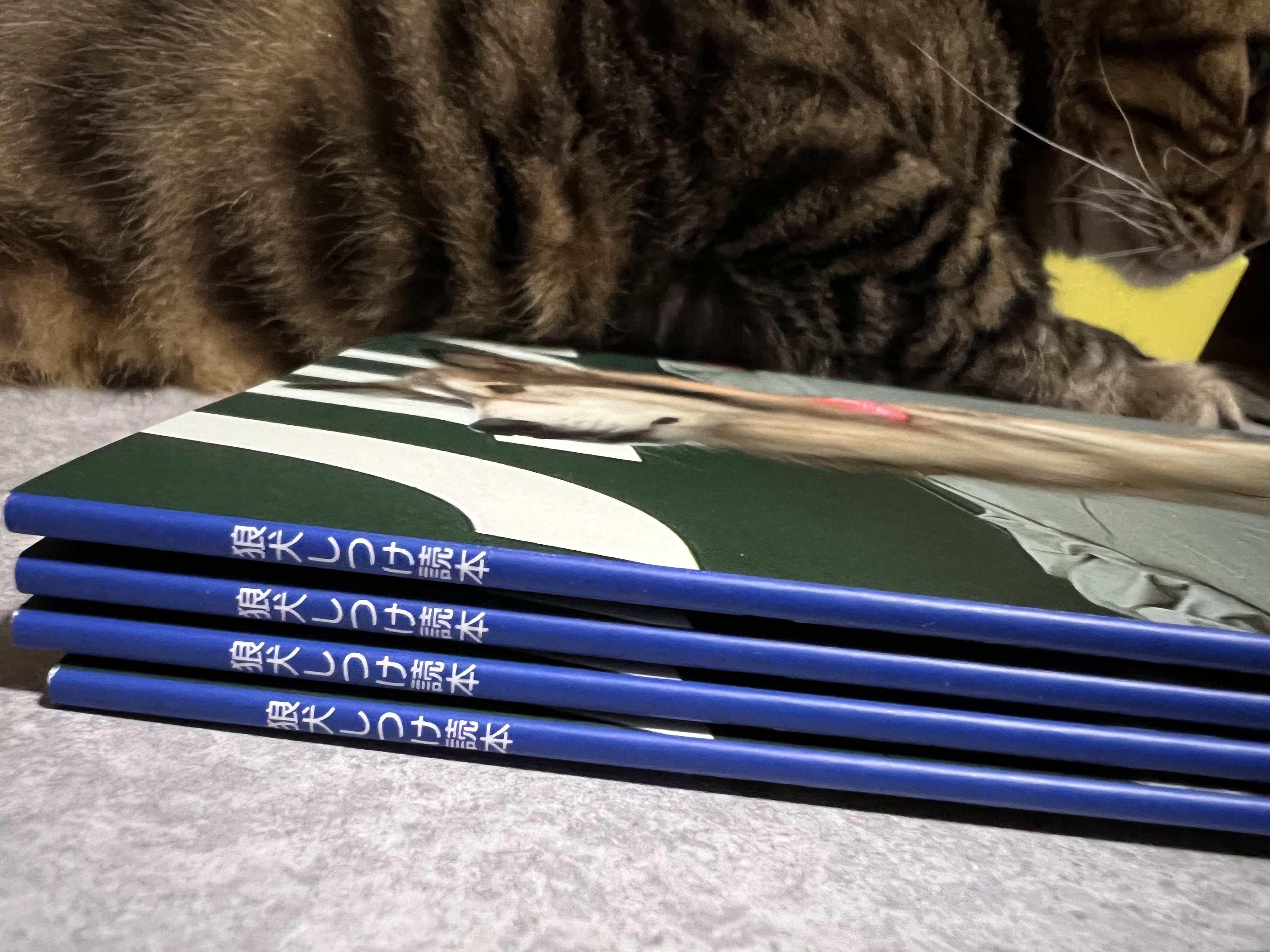 تويتر ヒロ マサミ 博物ふぇす多謝 على تويتر 狼犬しつけ読本 A5 36p 600円 ノウハウ確立がされてない狼犬の しつけに特化した本です しつけのコツ 著者自らの失敗談 訓練所に行って学んだ事など 狼犬だけではなく犬と暮らす全ての人にオススメ