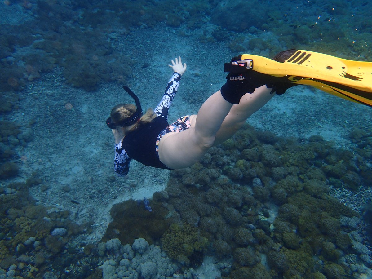 enadive's tweet photo. Lets go scuba diving and snorkeling with us inBali https://t.co/HnQv5WaDgS #scuba #scubadiving #scubadivetrip #divingbali #divingindonesia #snorkeling #snorkelingtrip #padidiver #divingfun #divingcourse https://t.co/pAV5I7iFaL