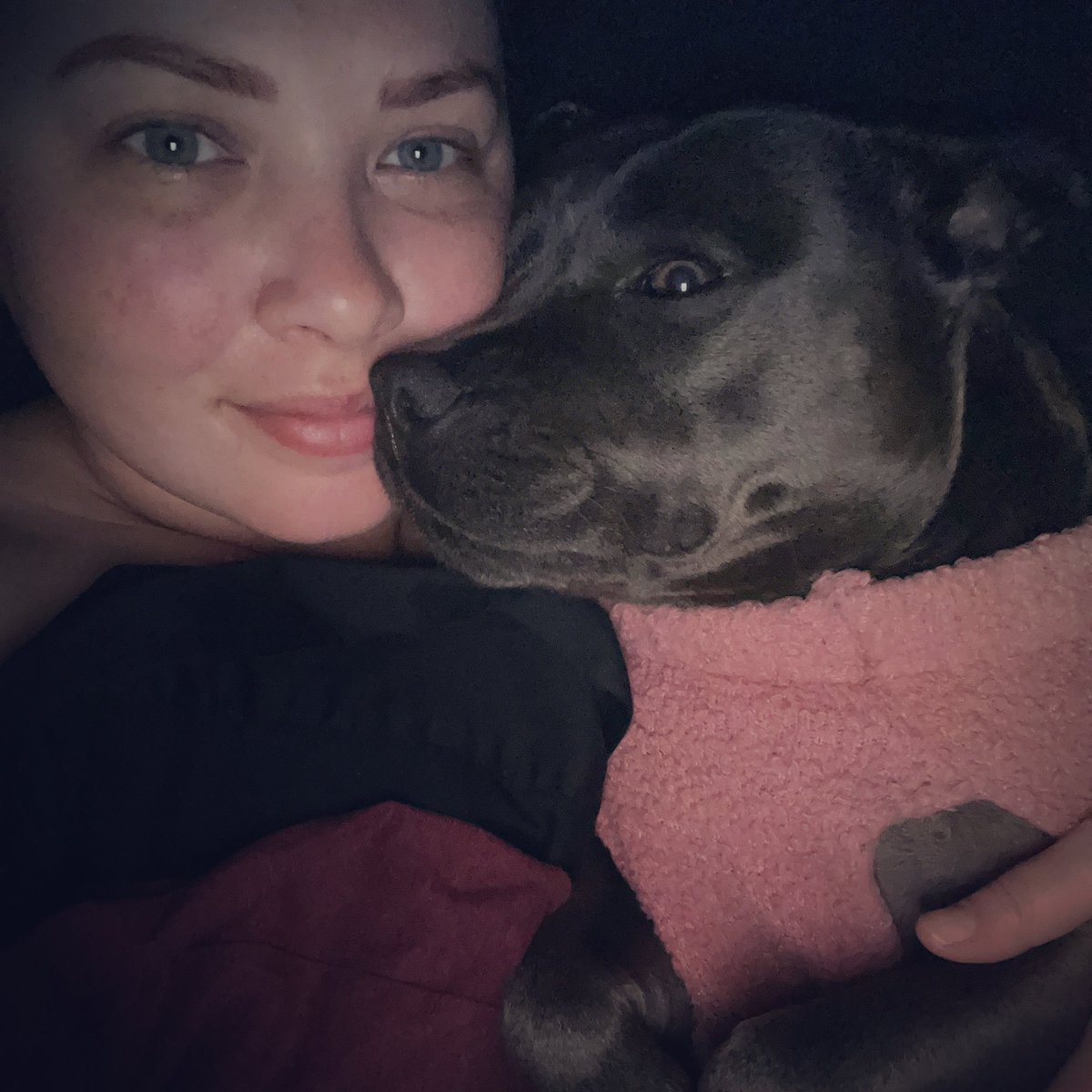 sunday snugs 💗 @izzythewolfpig 

#DogsofTwittter #dogsoftwitter #CuteAnimals #animals #baby #cutedogs #dog #doggy #dogs #dogsofaustralia #doglove #doglife #puppies #puppy #puppylove #puppyspam #staffy #staffypuppy #staffylove #bluestaffy #love #furbaby #izzy #wolfpig #wolfpiggy