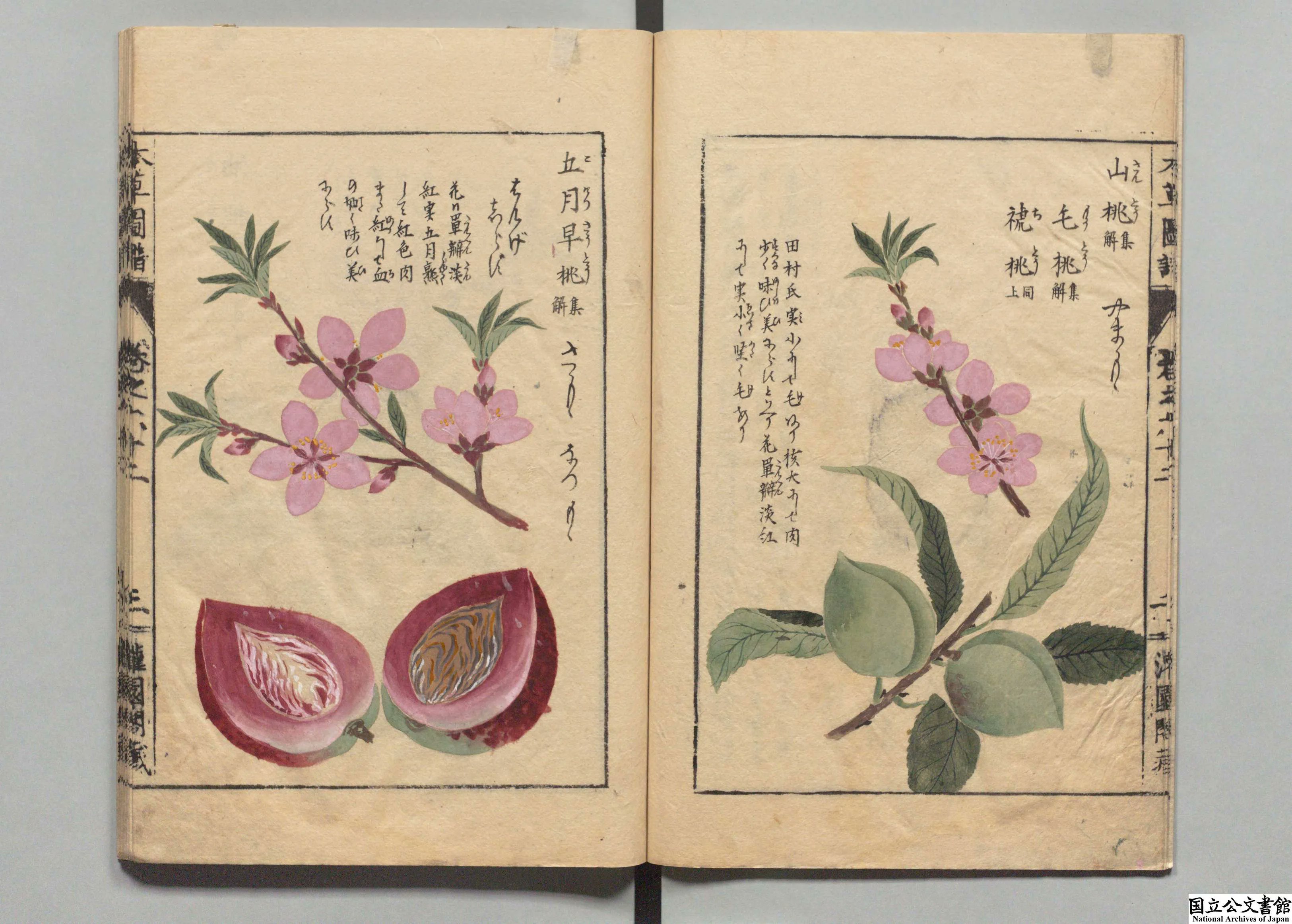 国立公文書館 on X: 国立公文書館 on X: