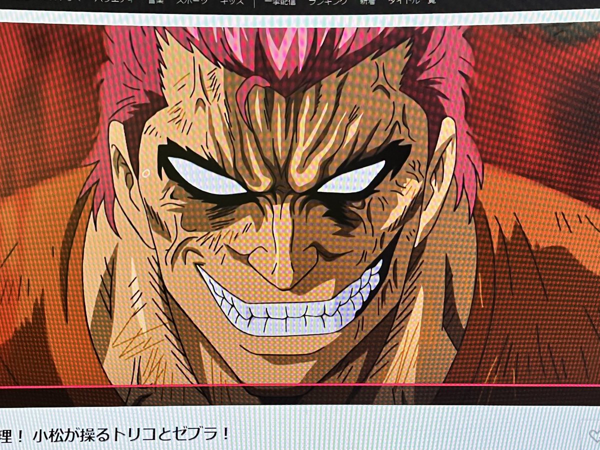 トリコ ゼブラ ブロマイド トリコ ゼブラ ブロマイド