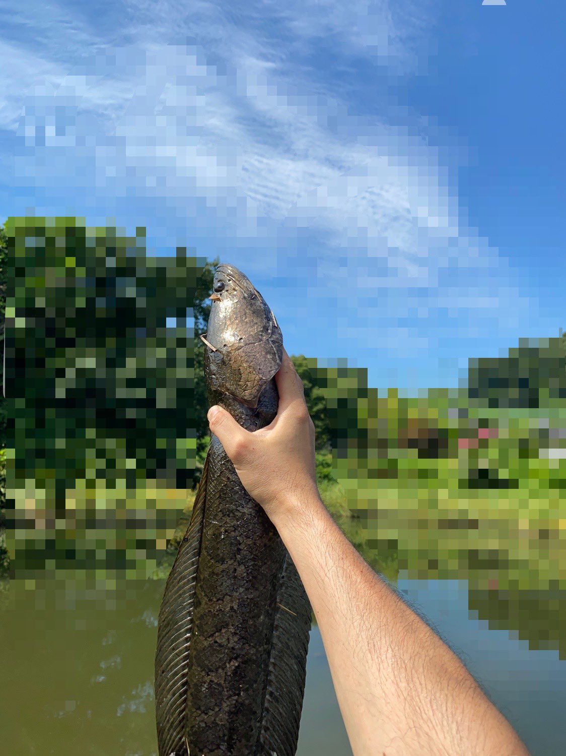 Ninja 気温37 強烈なワキガ臭を撒き散らしヘロヘロになりながら雷魚を天に掲げ勝ち誇る これが炎天釣行の醍醐味である Snakehead 雷魚 バス釣り ブラックバス 炎天釣行 T Co Y6ntybxqyt Twitter