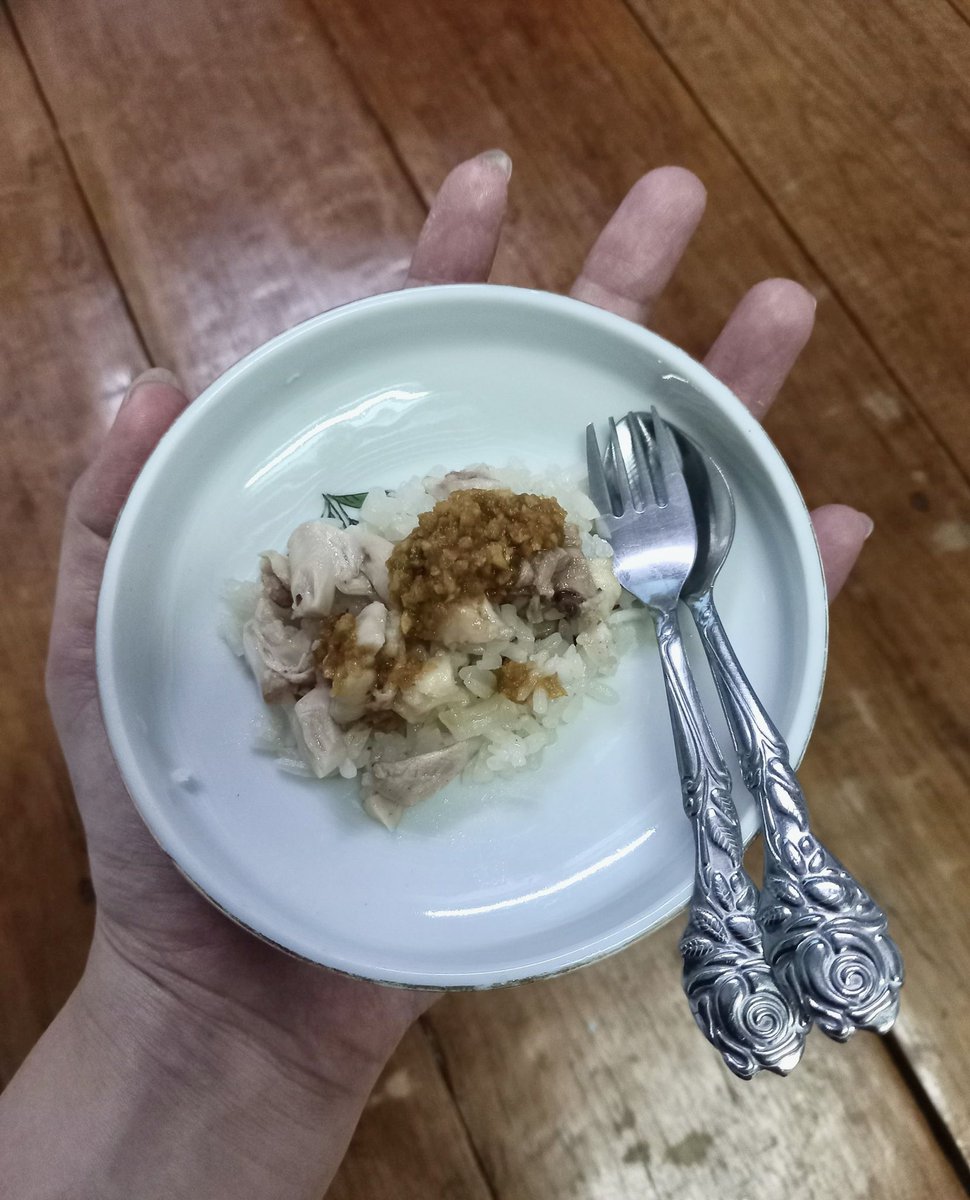 GM frens 🥹 Missing everyone! 
How’s everything? Wishing you all have a beautiful Sunny.✨

In this photo, it’s homemade chicken rice 🐔🍚.