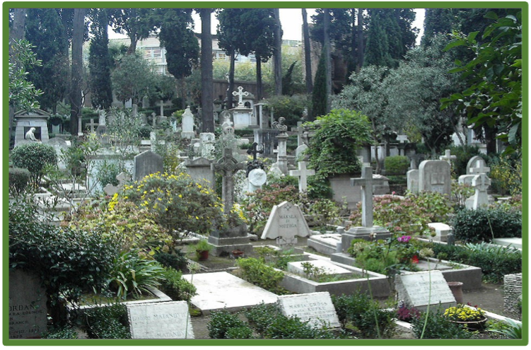 AustGHS's tweet image. Australian Garden History Society - mailchi.mp/gardenhistorys…
July National E News out now!
Become a member and get involved.