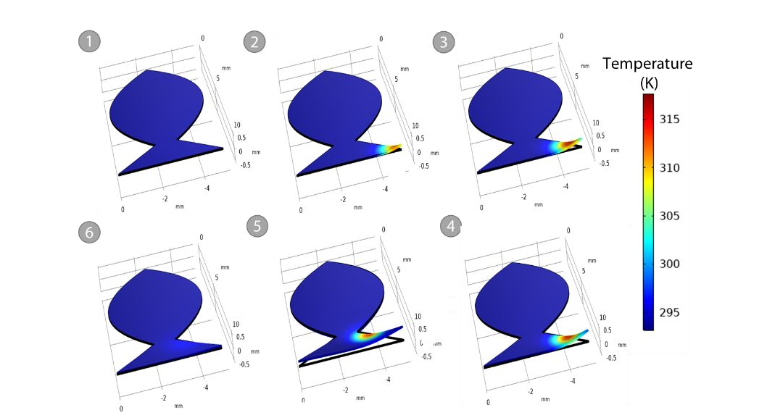 China Science tweet media