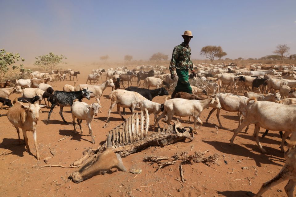 patriciakombo's tweet photo. We cannot combat environmental degradation unless we attend to causes related to human and social degradation.
#ClimateEmergency https://t.co/vXbnh8VSCt