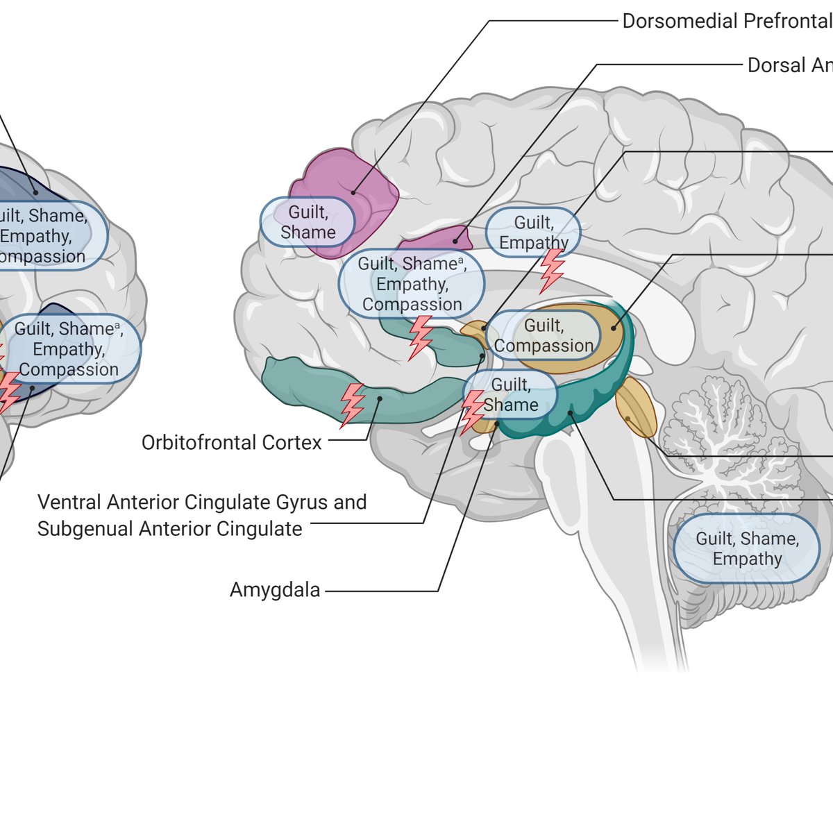 Katharina Förster (@katfoerster) on Twitter photo 🚨Out now🚨Our narrative review on how neural models of emotion processing in affective disorders may inform clinical practice together with <a href="/pkanske/">Philipp Kanske</a> @AnniKonrad and Marcel Kurtz.
OA-Access here: econtent.hogrefe.com/doi/full/10.10…
A 🧵1/5 🚨Out now🚨Our narrative review on how neural models of emotion processing in affective disorders may inform clinical practice together with <a href="/pkanske/">Philipp Kanske</a> @AnniKonrad and Marcel Kurtz.
OA-Access here: econtent.hogrefe.com/doi/full/10.10…
A 🧵1/5