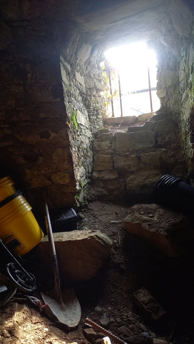 Irish Archaeology tweet media