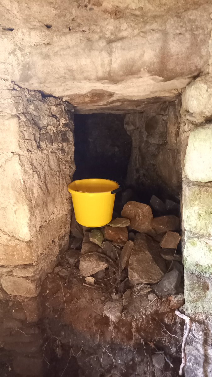 Irish Archaeology tweet media