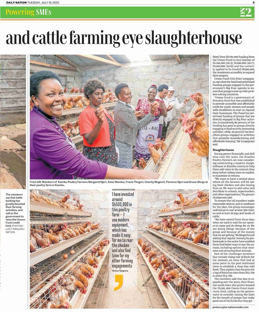 1/2 Kiambu farmers engaged in poultry, pig, and cattle farming are beneficiaries of Kshs 700,000 from the @UwezoFund ,table banking has boosted their farming activities. See the full story featured in today's Daily Nation. #AhadiYetuKaziKwako #PoweringSMEs #DAILYNATION