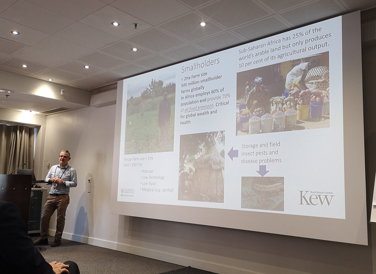 Lucy Thursfield (@lucyinthelab) on Twitter photo Great talk by Phil Stevenson <a href="/chickpeaman/">Phil Stevenson</a> this morning on supporting parasotoids of pest insects in East African smallholder farms #ICE2022 Great talk by Phil Stevenson <a href="/chickpeaman/">Phil Stevenson</a> this morning on supporting parasotoids of pest insects in East African smallholder farms #ICE2022