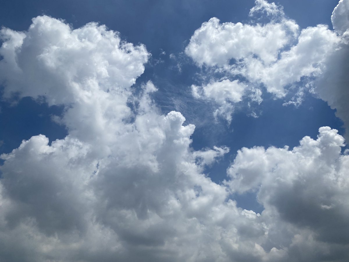 saadssadder's tweet photo. ☁️✨ https://t.co/Fmc23FwXte