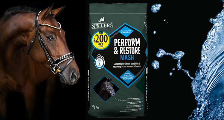 ARWhole's tweet photo. With temperatures soaring, keeping your horse (and yourself!) hydrated should be a top priority. Feeding a wet mash such as SPILLERS Perform &amp; Restore can help to increase your horse’s water intake too.
Read more here: https://t.co/SU6XOyEty3
#horse #heatwaveuk #wholesale https://t.co/koe6hFrvZd
