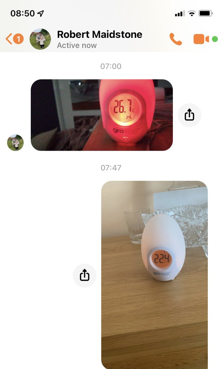 Me and @robertmaidstone now only communicate through photos of groeggs.