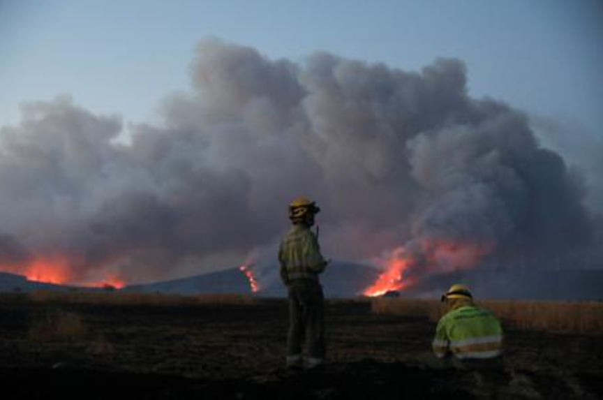 el_pais's tweet photo. 🔴 ACTUALIZACIÓN | A esta hora hay en España 20 incendios sin controlar, 3 estabilizados y 10 controlados. Según Protección Civil, los que más preocupan son los de Zamora, Cebrero, Valdueza, Duero, Folgoso do Courel y Carballeda de Valdeorras https://t.co/zI3kLA5JFJ https://t.co/cehhY11bIc