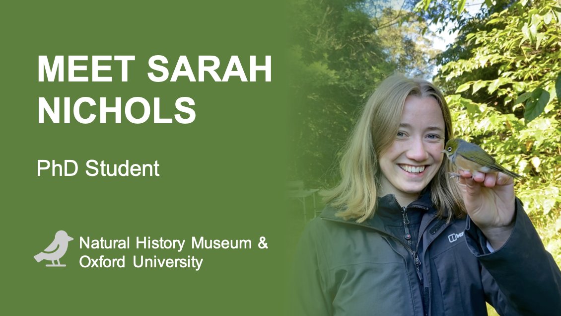 NHM_Students's tweet image. 🧵👇 Today&apos;s #TwitterTakeover by Sarah Nichols 🤗

@sarah_e_nichols works on understanding the patterns of parasite dispersal in island-colonising birds mainly by looking at what’s in their poo 💩🐦🏝