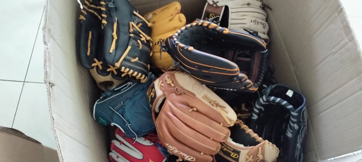 Osa Maliki tweet media