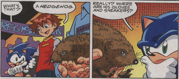Sonic the Hedgehog does not know what hedgehogs look like. 