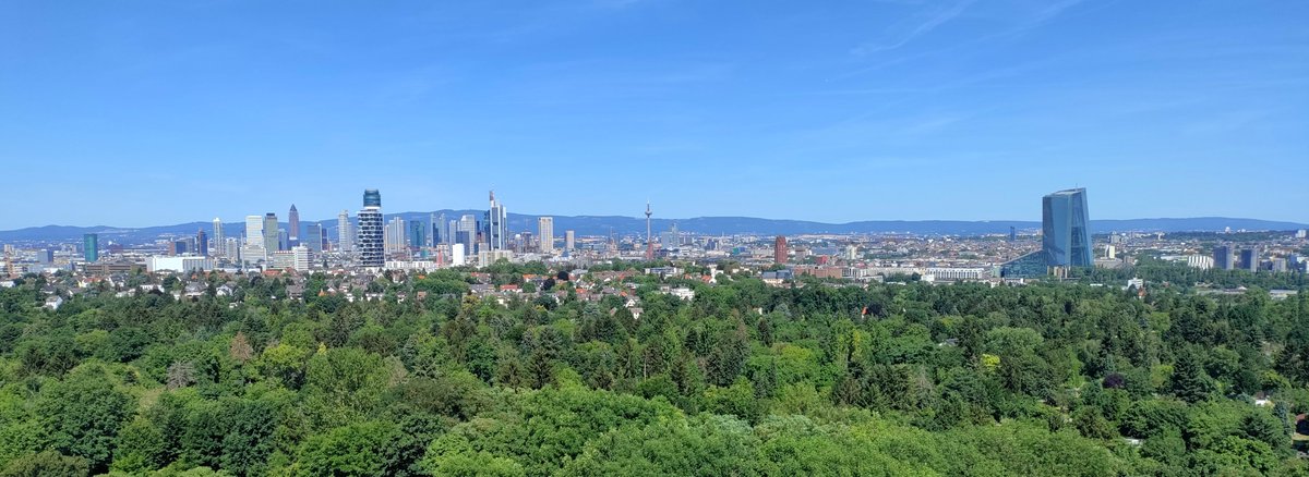No tech news/shares this time. 📰
Just a view of our wonderful Frankfurt (very close to where we are). ❤
Photographed from the Goethe Tower. 🖼
 
Maybe another reason to visit NEOX NETWORKS. 🚗
 
 #frankfurtammain #neoxnetworks