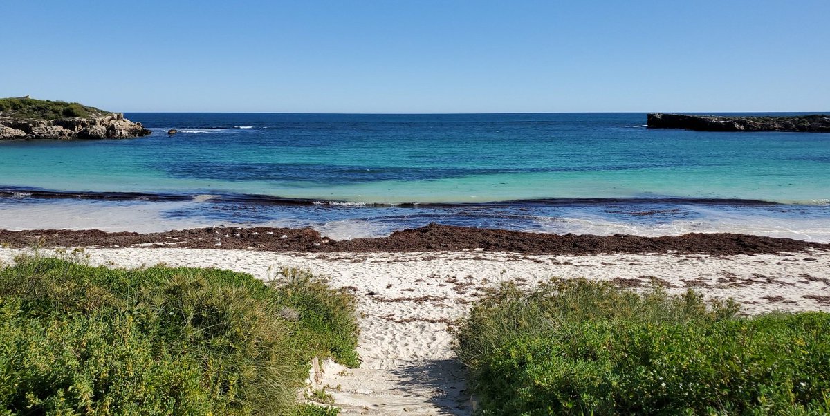 JessPhysio1's tweet photo. having a blissful summer down under 🇦🇺❤ (or shall I say winter 😜) https://t.co/9fEIMu5Ej1