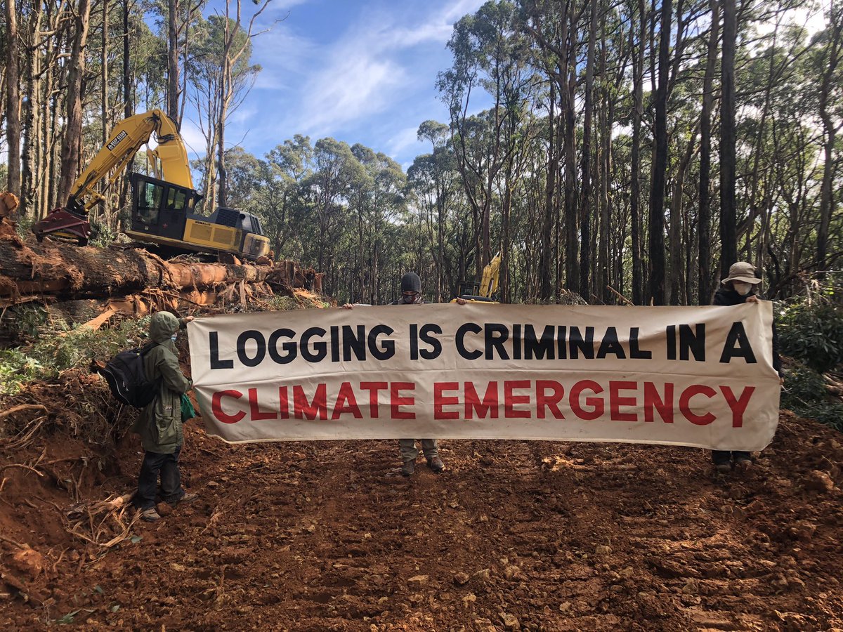 merri_forests's tweet photo. From @tanya_plibersek: “I really respect people who protest for the environment, as long as they do so within the law”. 

In other words, protest in a way that we can ignore so that we can just keep talking, commission more reviews, deliver no actual action. 

Bugger that. https://t.co/pAnPcUd6SF