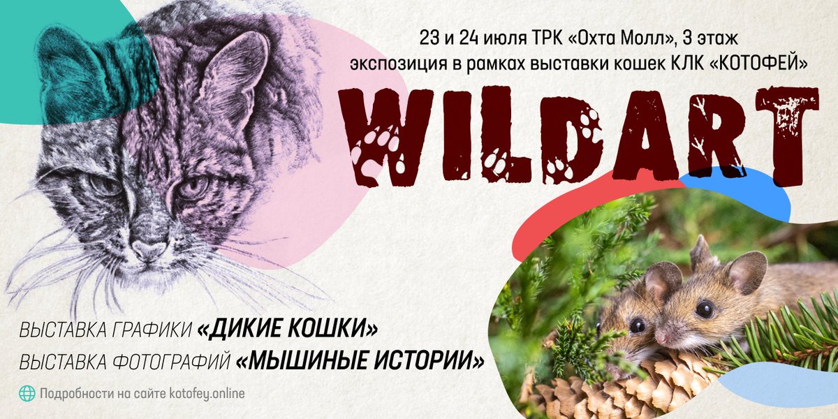 Happy to be representing India again in Russia, St.Petersburg with 4 of my artworks of Wild small cats in India. My Leopard cat work is on the event poster! #CatsOfTwitter #catlovers #endangeredspecies #artforconservation #conservation #smallcats #cats
