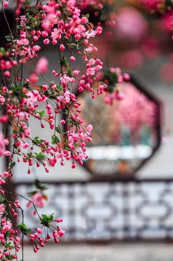 “I arise in the morning torn between a desire to improve the world and a desire to enjoy the world.” ❤️💕🌸🥂
Good morning 🌞
Happy Tuesday💕🌸
#NFT #NFTsales #NFTs #NFTCommmunity #NFTGiveaways 
#NFTCollection #NFTartwork