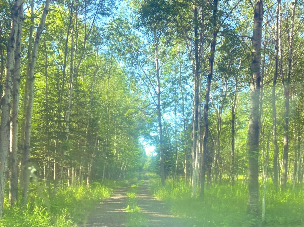 Inthewoods2014's tweet photo. When a place calms your mind and soul. @LakeSuperior #thebiglake #thankfulforthis https://t.co/JUnkkAG7bC