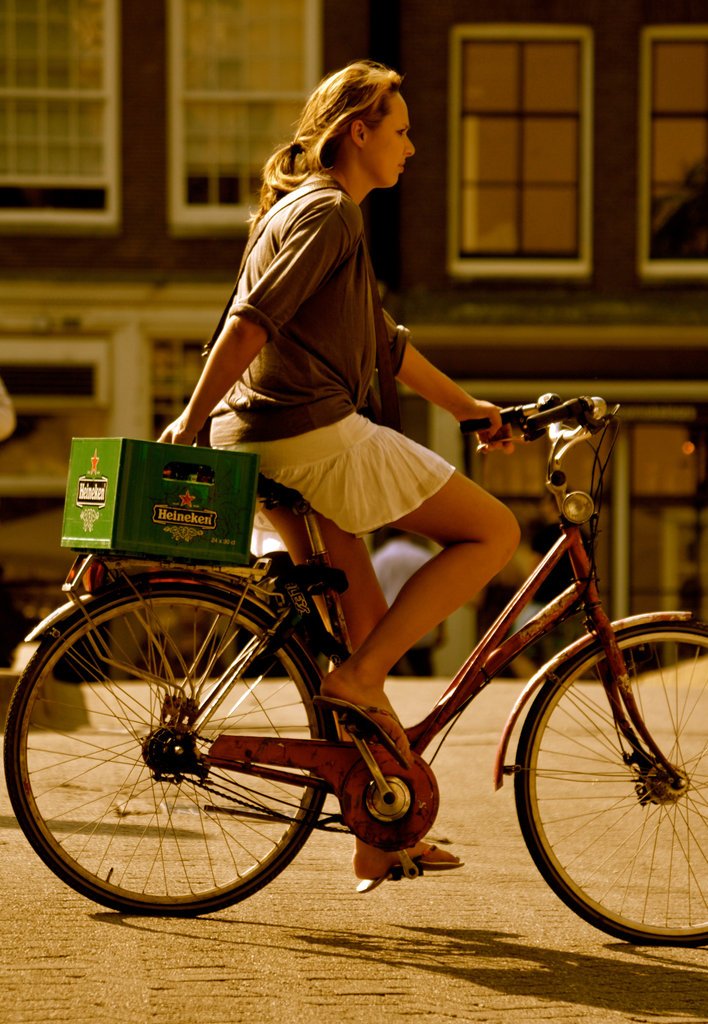 Real Dutch Bikes tweet media